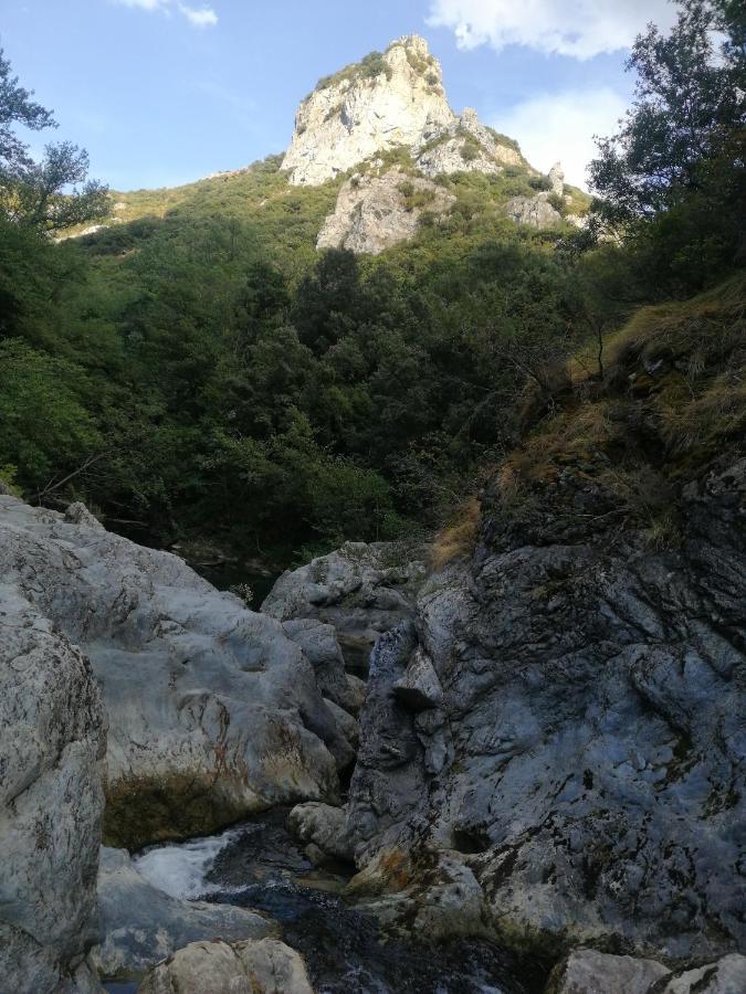 Gite De Kate Albieres Esterno foto